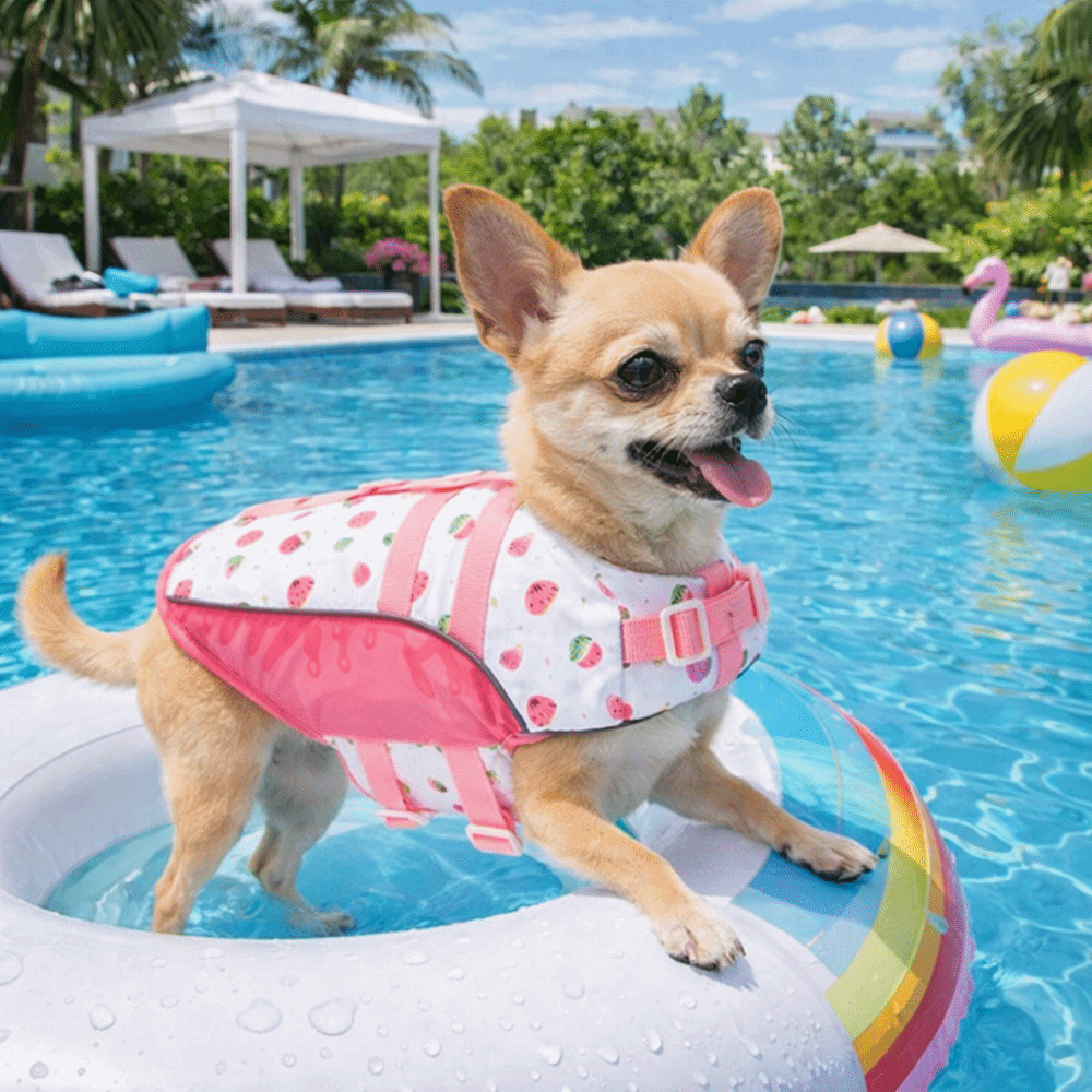 Life Jacket Buoyancy - 調節可能な犬用ライフジャケット高浮力防水犬用ライフセーバー水着安全フィット厚いスポンジパッドペット安全ベストビーチ